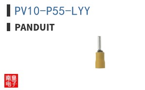PV10-P55-LYY