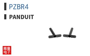 PZBR4