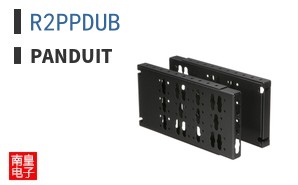 R2PPDUB