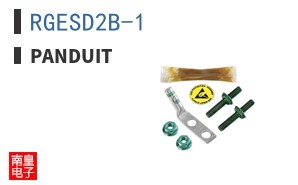 RGESD2B-1