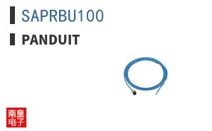 SAPRBU100