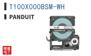 T100X000BSM-WH