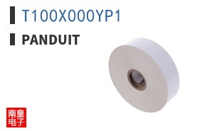 T100X000YP1