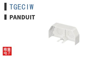 TGECIW