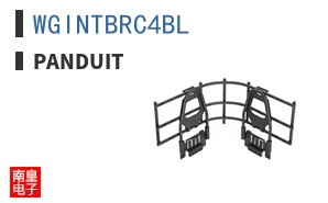 WGINTBRC4BL