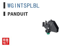 WGINTSPLBL