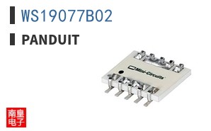 WS19077B02