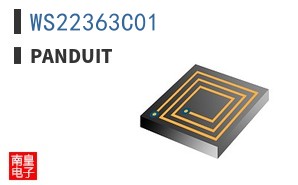 WS22363C01