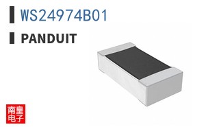 WS24974B01