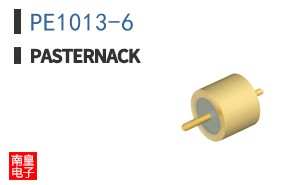 PE1013-6
