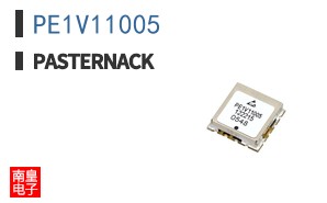 PE1V11005