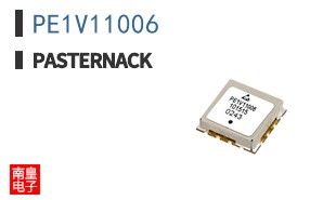 PE1V11006
