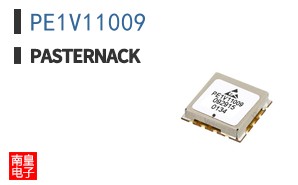 PE1V11009