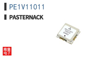 PE1V11011