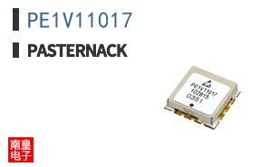 PE1V11017