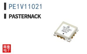 PE1V11021