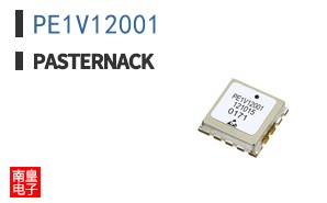 PE1V12001