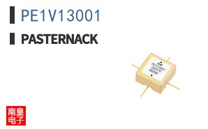 PE1V13001