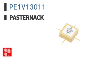 PE1V13011