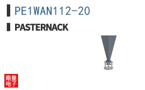 PE1WAN112-20
