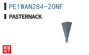 PE1WAN284-20NF