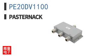 PE20DV1100