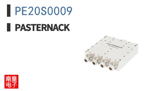 PE20S0009