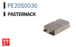 PE20S0030