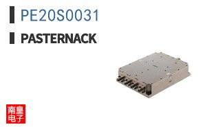 PE20S0031