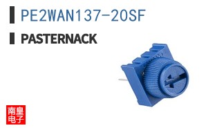 PE2WAN137-20SF