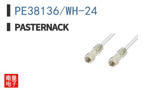 PE38136/WH-24