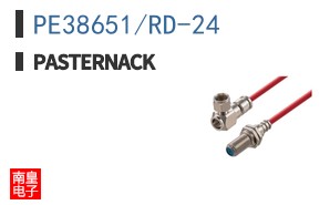 PE38651/RD-24