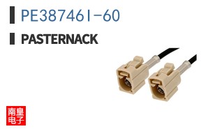 PE38746I-60