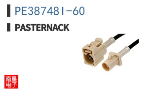 PE38748I-60