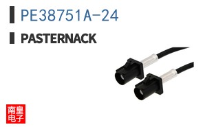 PE38751A-24