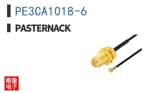PE3CA1018-6