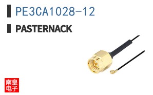 PE3CA1028-12