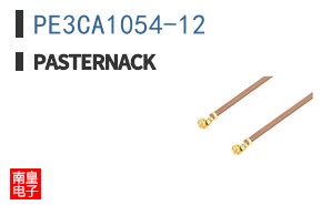 PE3CA1054-12