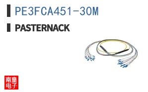 PE3FCA451-30M
