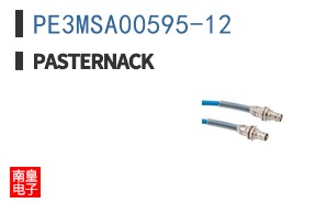 PE3MSA00595-12