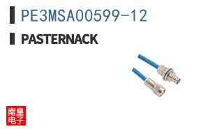 PE3MSA00599-12