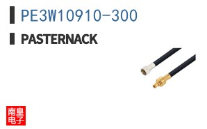 PE3W10910-300