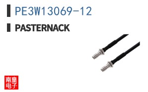 PE3W13069-12