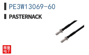 PE3W13069-60