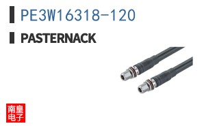 PE3W16318-120