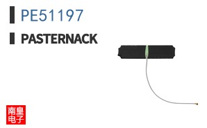PE51197