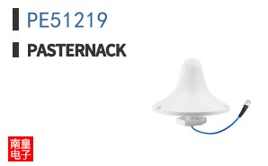PE51219