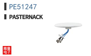 PE51247