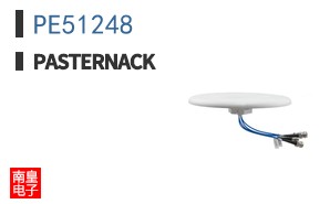 PE51248