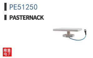 PE51250